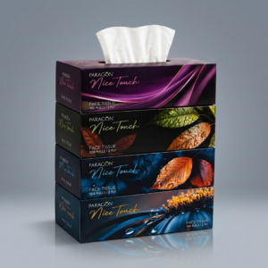 Nice Touch Facial Tissue 2 Ply 100 Pulls